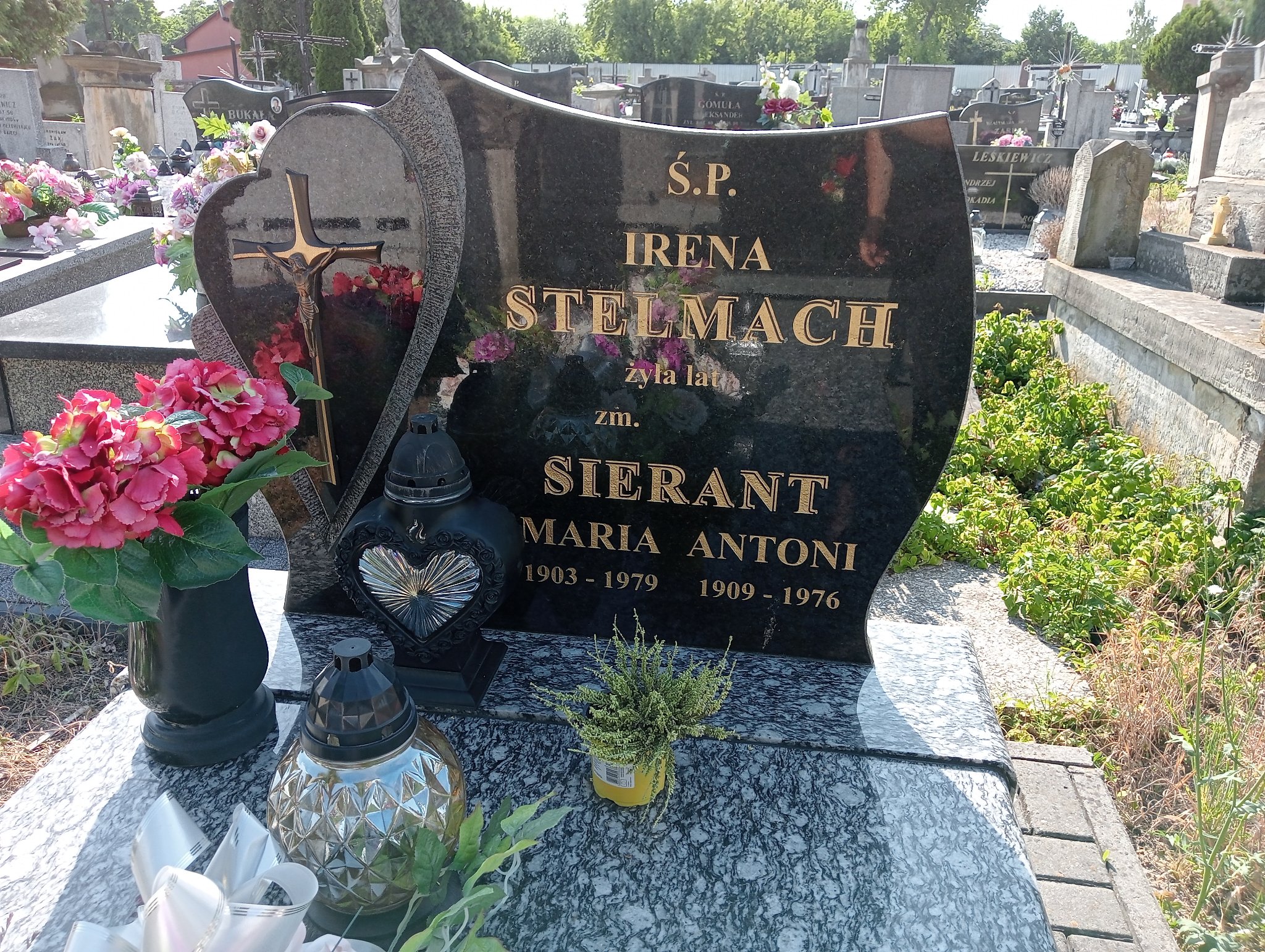 Antoni Sierant 1908 Ostrowiec Świętokrzyski św. Michała - Grobonet - Wyszukiwarka osób pochowanych