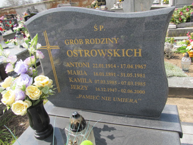 Jerzy Ostrowski 1947 Ostrowiec Świętokrzyski św. Michała - Grobonet - Wyszukiwarka osób pochowanych