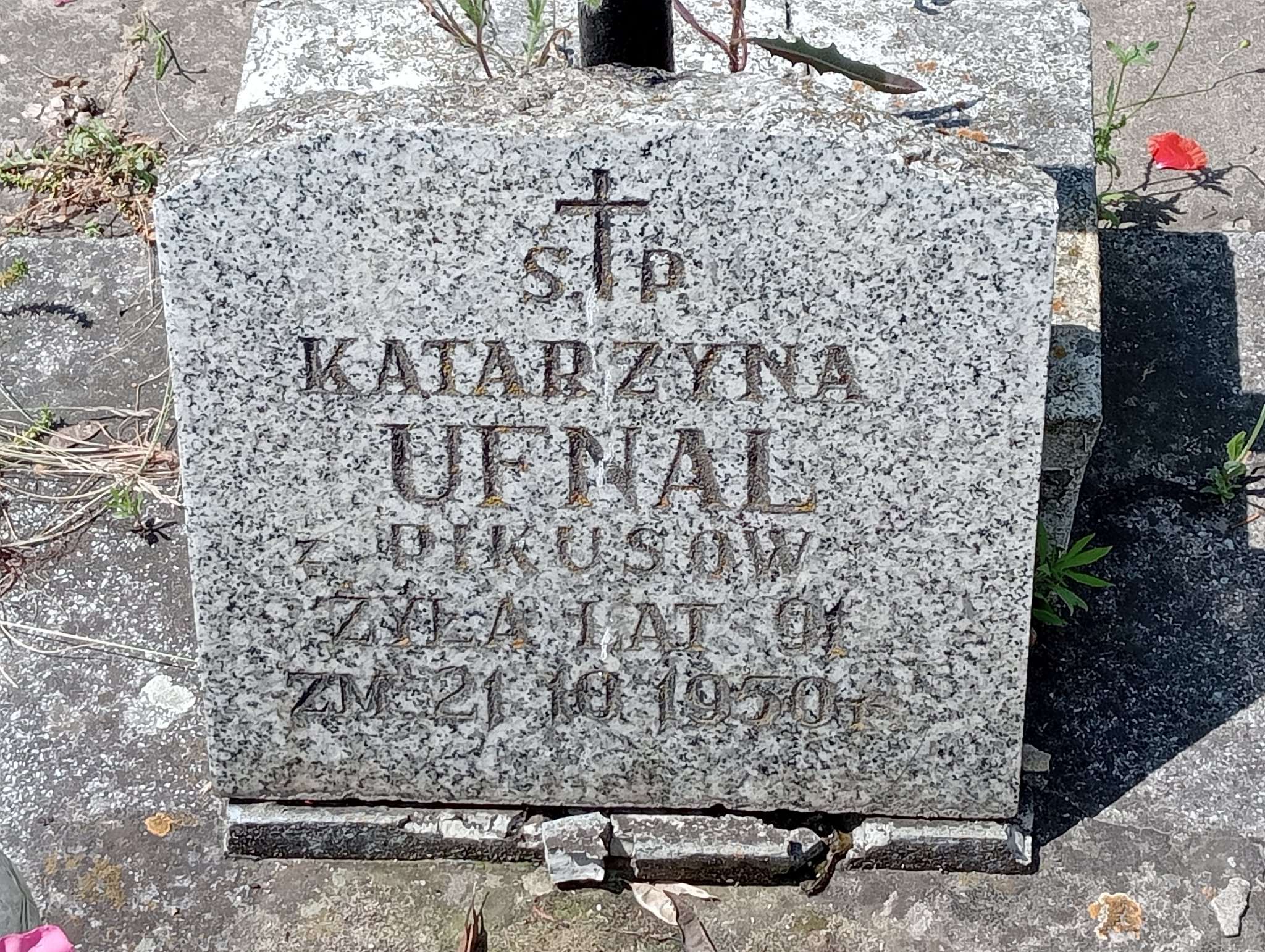 Katarzyna Ufnal Ostrowiec Świętokrzyski św. Michała - Grobonet - Wyszukiwarka osób pochowanych