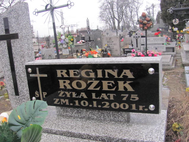 Slawomir Rożek 1959 Ostrowiec Świętokrzyski św. Michała - Grobonet - Wyszukiwarka osób pochowanych