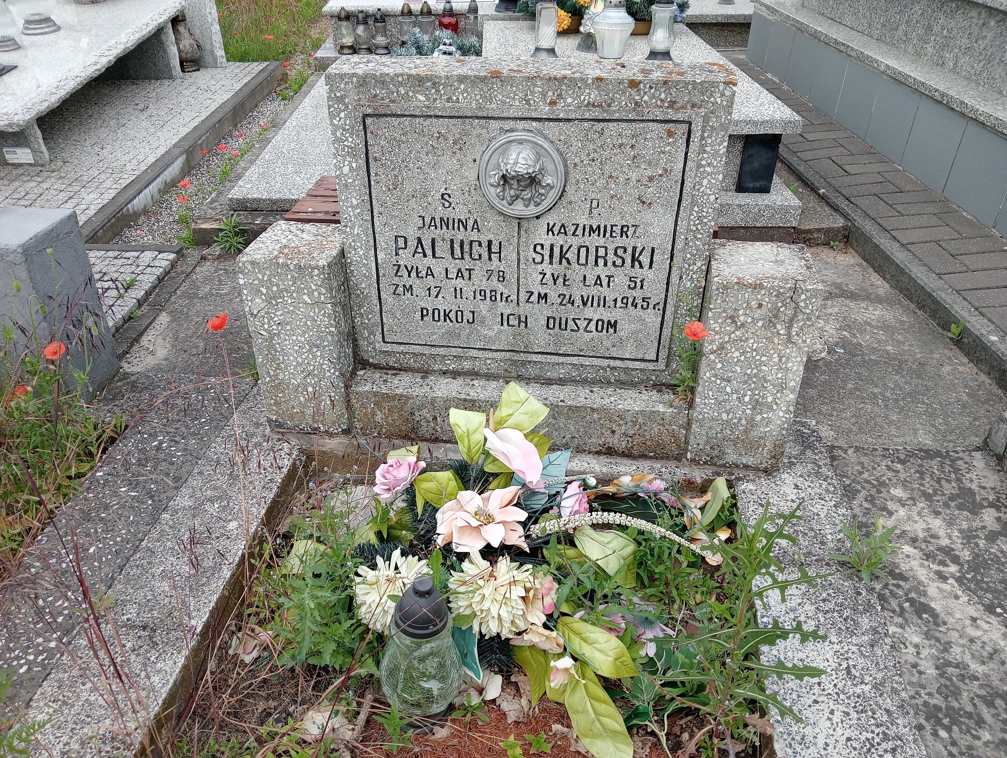 Kazimierz Sikorski Ostrowiec Świętokrzyski św. Michała - Grobonet - Wyszukiwarka osób pochowanych