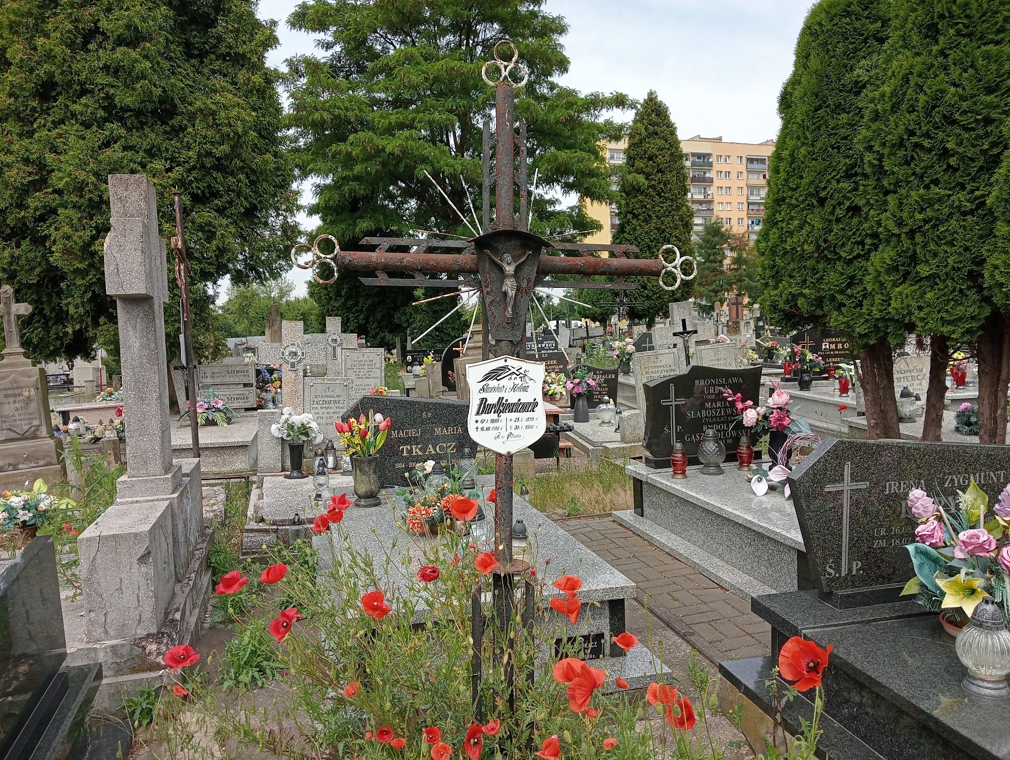 Stanisław Bartkiewicz 1889 Ostrowiec Świętokrzyski św. Michała - Grobonet - Wyszukiwarka osób pochowanych