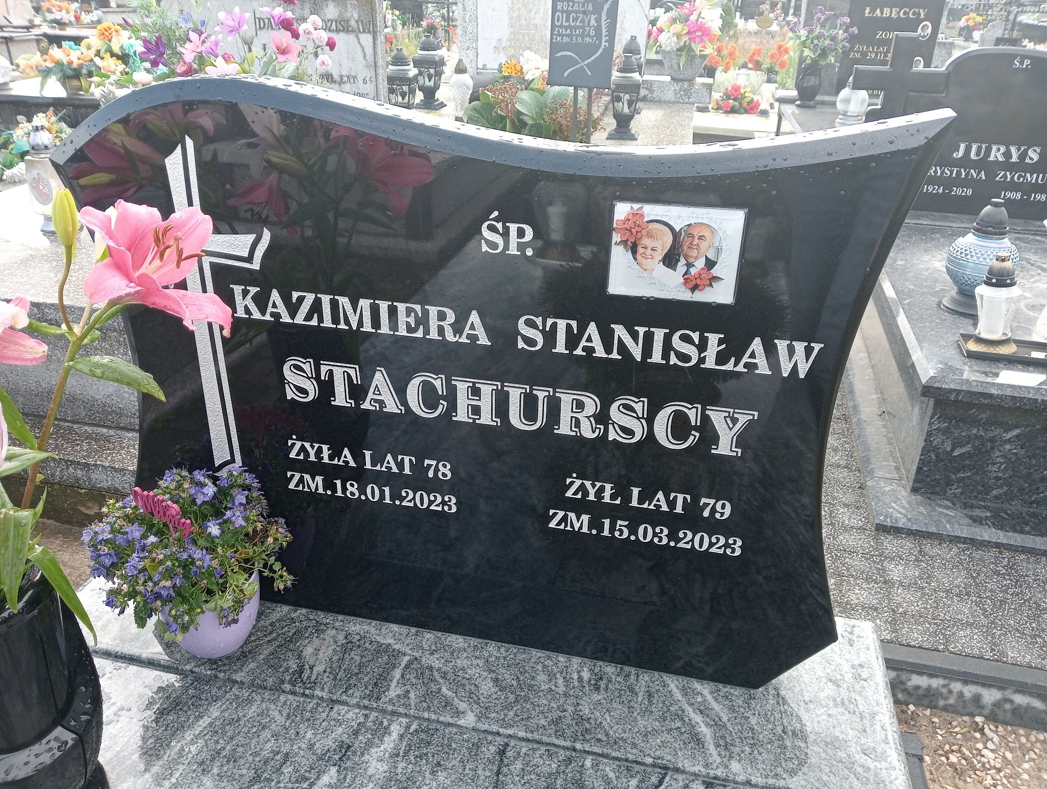 Jadwiga Stachurska Ostrowiec Świętokrzyski św. Michała - Grobonet - Wyszukiwarka osób pochowanych