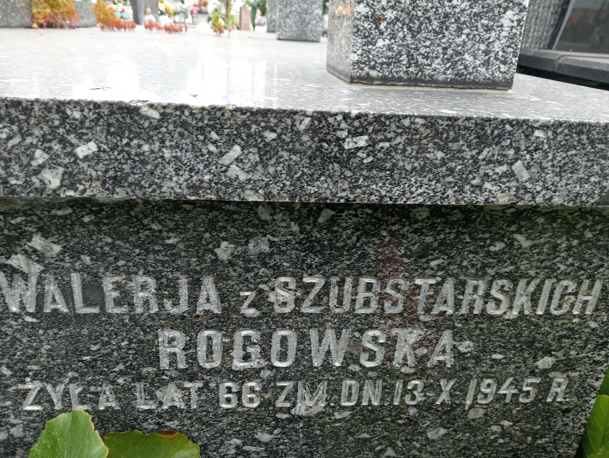 Maria Szubstarska Ostrowiec Świętokrzyski św. Michała - Grobonet - Wyszukiwarka osób pochowanych