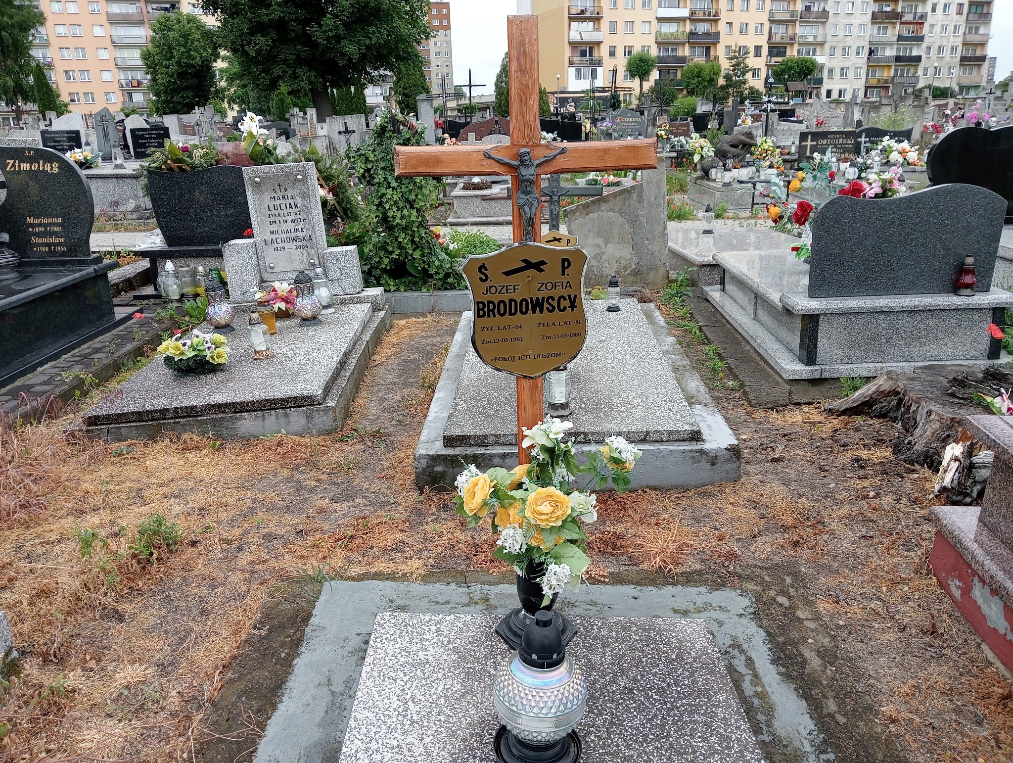 Zofia Brodowska Ostrowiec Świętokrzyski św. Michała - Grobonet - Wyszukiwarka osób pochowanych