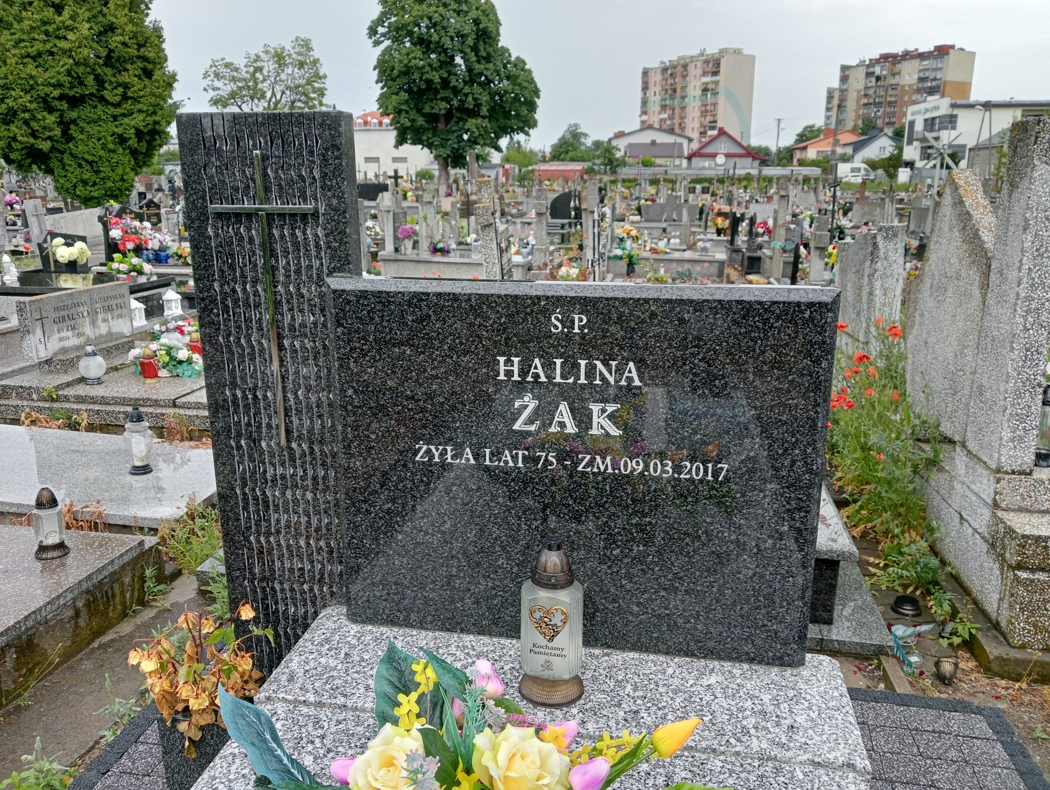 Halina Żak Ostrowiec Świętokrzyski św. Michała - Grobonet - Wyszukiwarka osób pochowanych