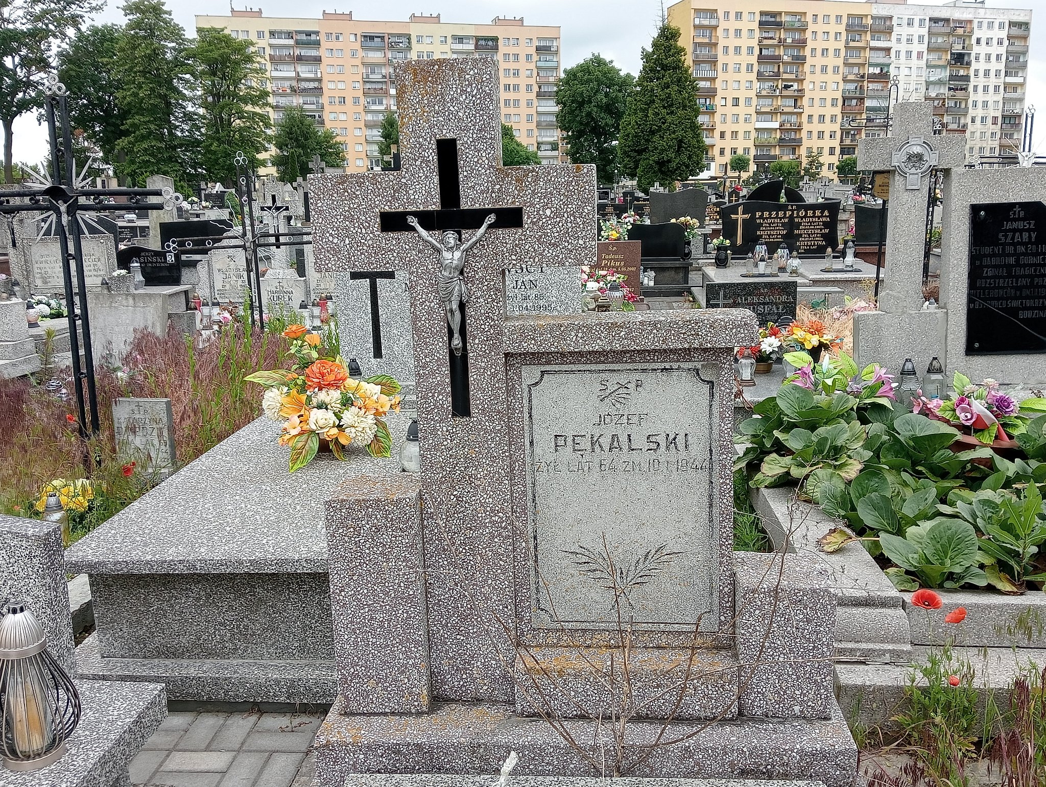 Józef Pękalski Ostrowiec Świętokrzyski św. Michała - Grobonet - Wyszukiwarka osób pochowanych