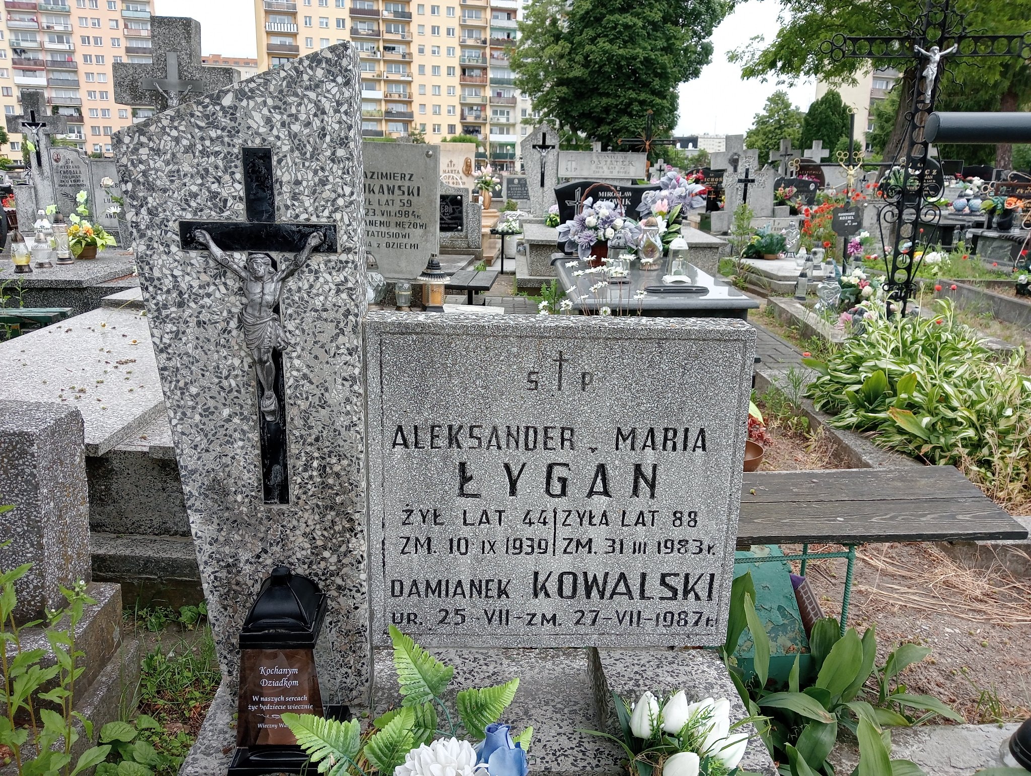 Damian Kowalski 1987 Ostrowiec Świętokrzyski św. Michała - Grobonet - Wyszukiwarka osób pochowanych