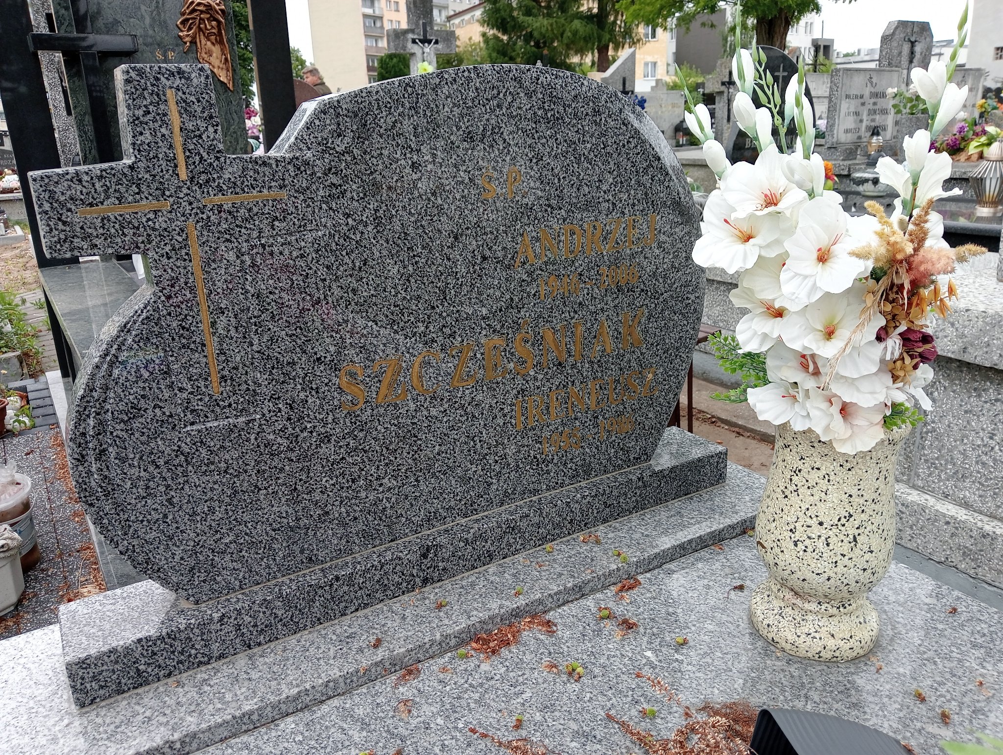 Ireneusz Szcześniak 1954 Ostrowiec Świętokrzyski św. Michała - Grobonet - Wyszukiwarka osób pochowanych