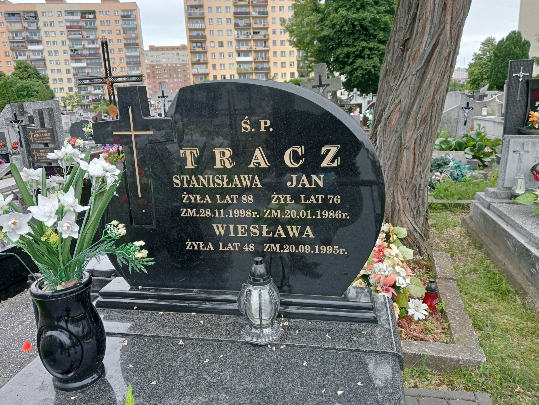 Wiesława Tracz Ostrowiec Świętokrzyski św. Michała - Grobonet - Wyszukiwarka osób pochowanych