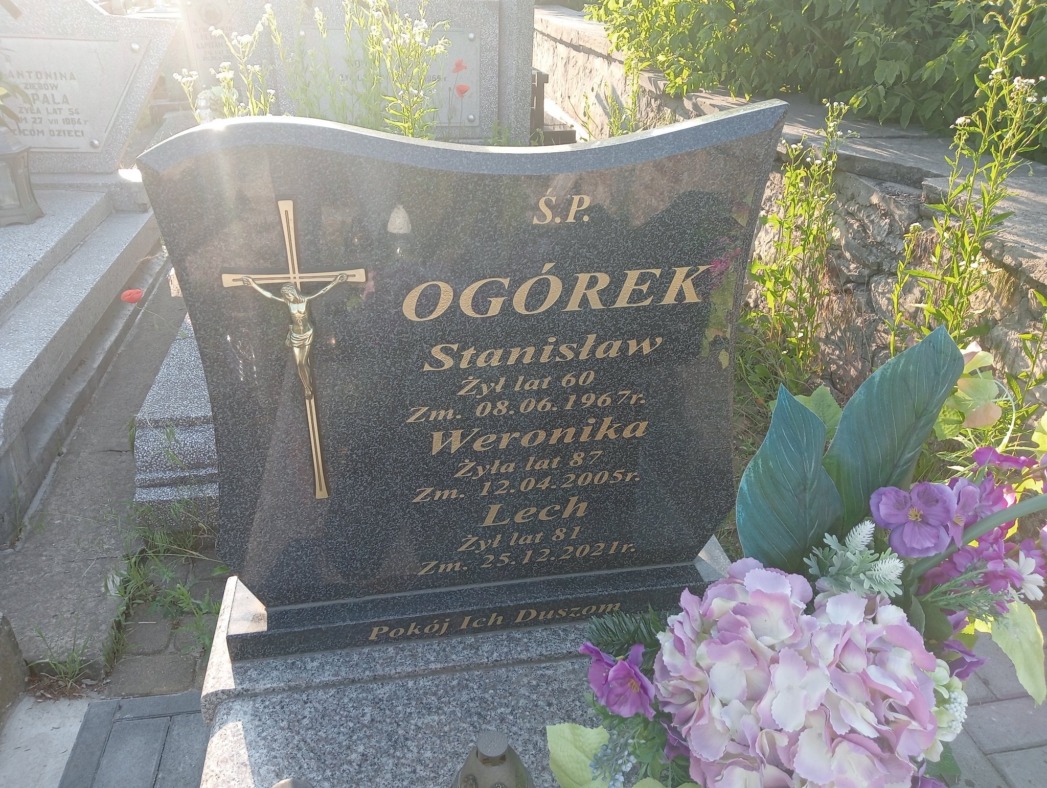 Lech Ogórek Ostrowiec Świętokrzyski św. Michała - Grobonet - Wyszukiwarka osób pochowanych