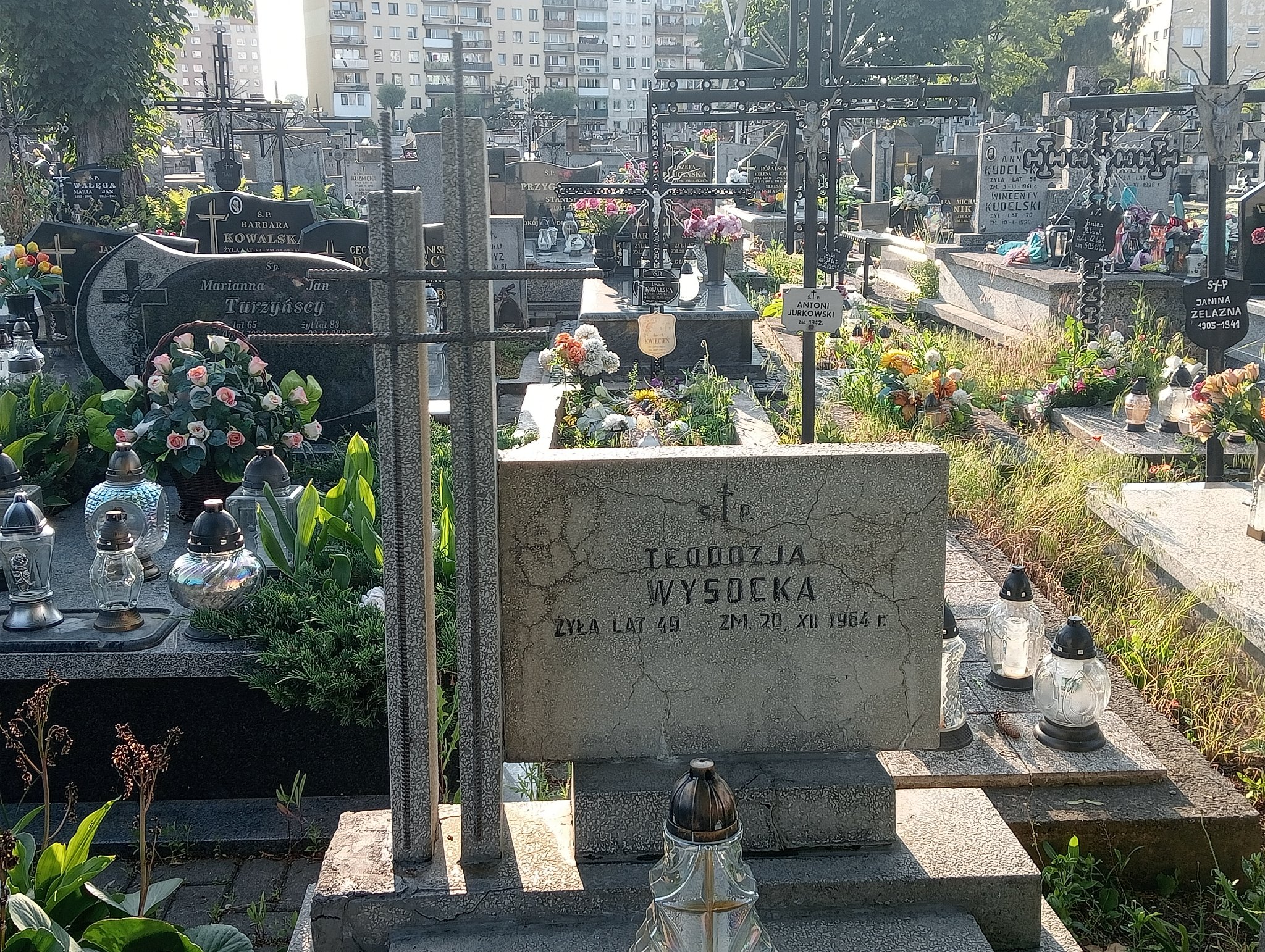 Marek Religa Ostrowiec Świętokrzyski św. Michała - Grobonet - Wyszukiwarka osób pochowanych