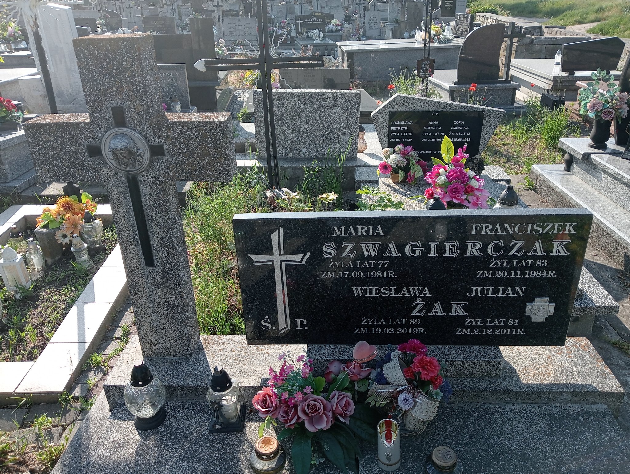 Julian Żak Ostrowiec Świętokrzyski św. Michała - Grobonet - Wyszukiwarka osób pochowanych