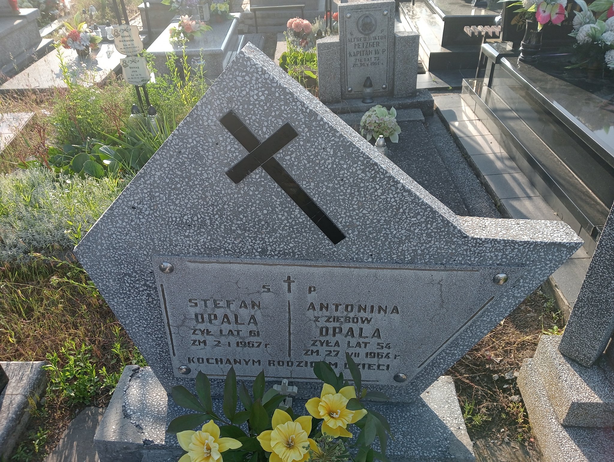 Stefan Opala Ostrowiec Świętokrzyski św. Michała - Grobonet - Wyszukiwarka osób pochowanych