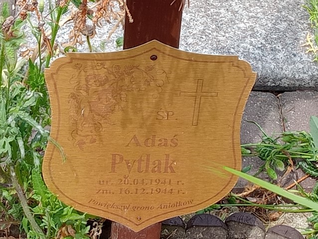 Adam Pytlak 1941 Ostrowiec Świętokrzyski św. Michała - Grobonet - Wyszukiwarka osób pochowanych